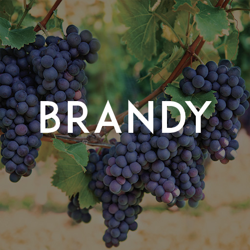 brandy
